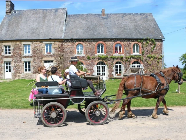 La Cavalerie d'Andrea