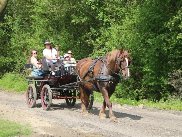 La Cavalerie d'Andrea