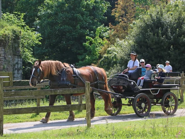 La Cavalerie d'Andrea