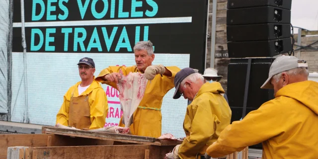 Festival des Voiles de Travail