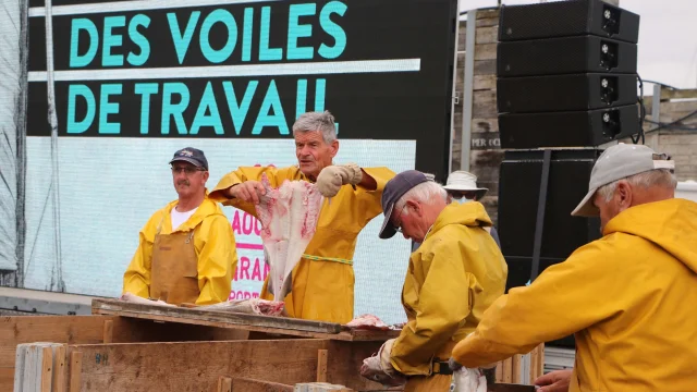 Le Festival Des Voiles De Travail Credit Otgtm Marie Claude Vergne 36005