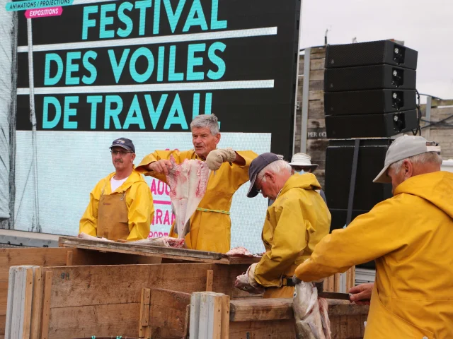 Festival des Voiles de Travail