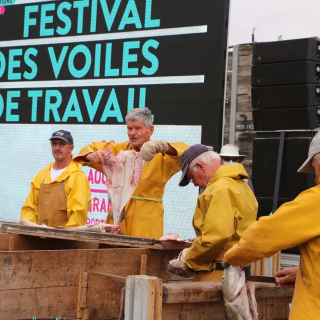 Festival des Voiles de Travail