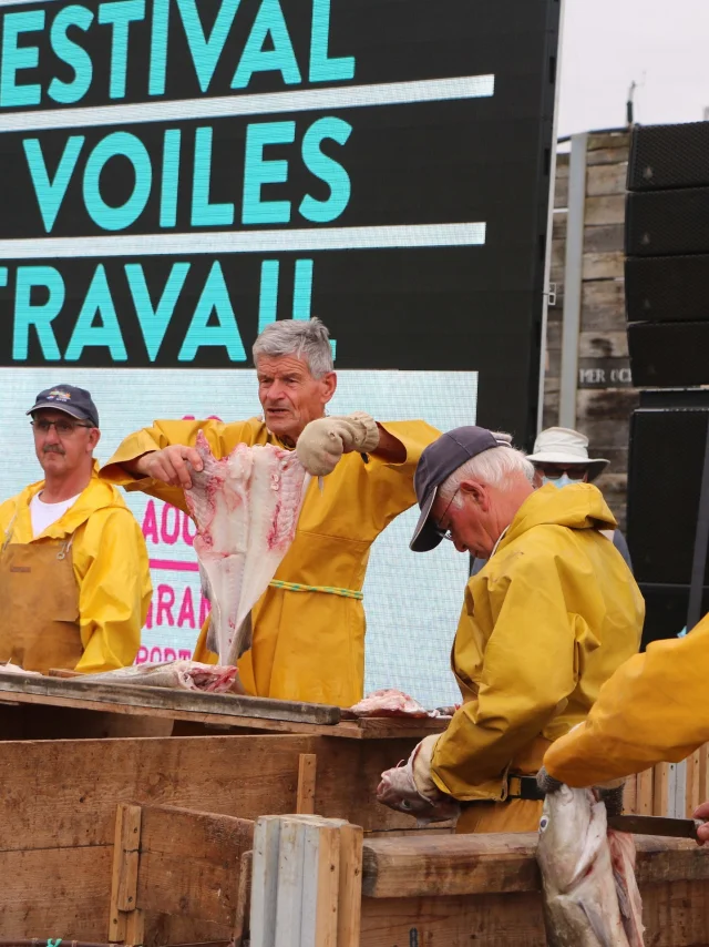 Le Festival Des Voiles De Travail Credit Otgtm Marie Claude Vergne 36005