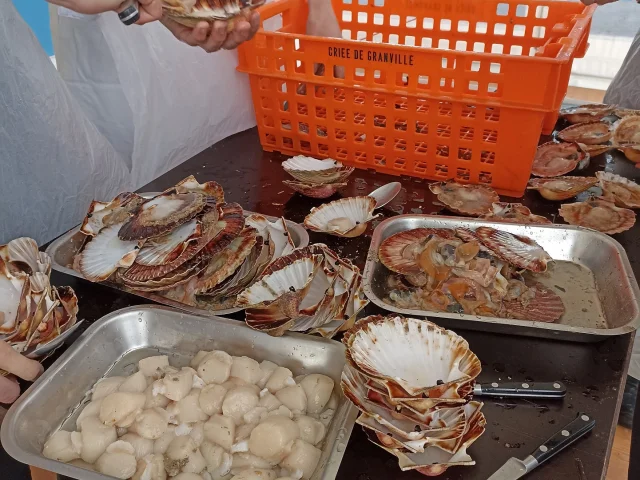 Cours Cuisine au Festival Toute la mer sur un plateau