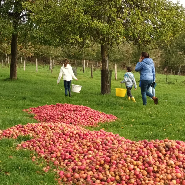 Ferme Cidricole Domaine Le Girard Coudeville Sur Mer