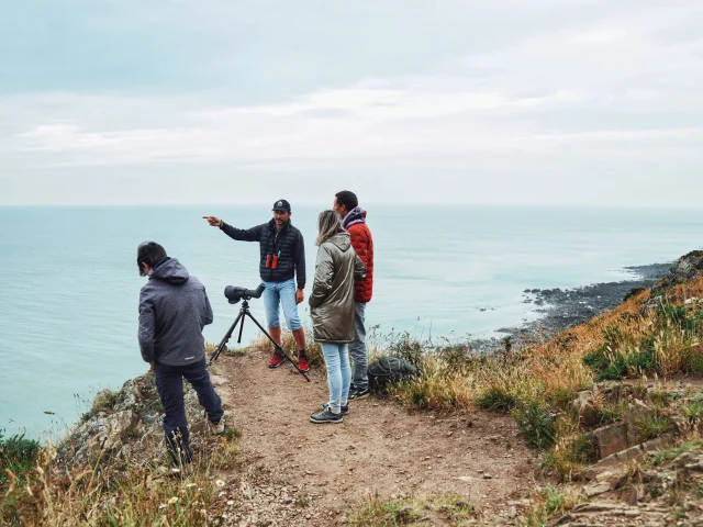 Sébastien Provost, Birding Mont-Saint-Michel