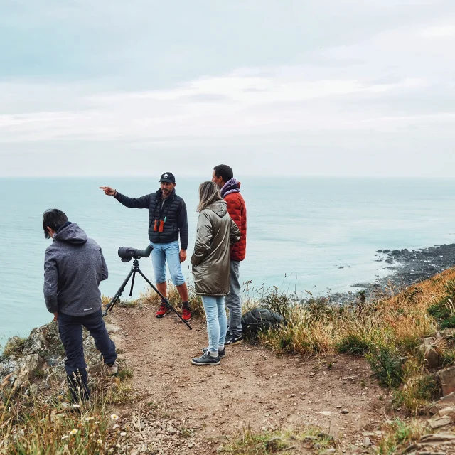 Sébastien Provost, Birding Mont-Saint-Michel