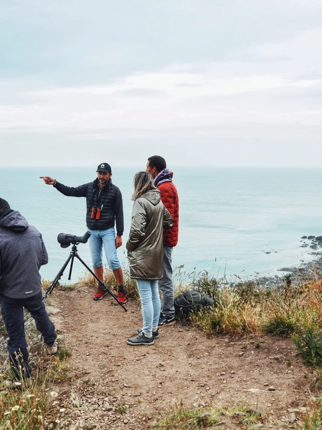 Sébastien Provost, Birding Mont-Saint-Michel