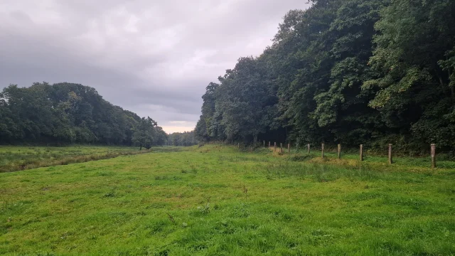 La Vallée de l'Oiselière à Saint-Planchers