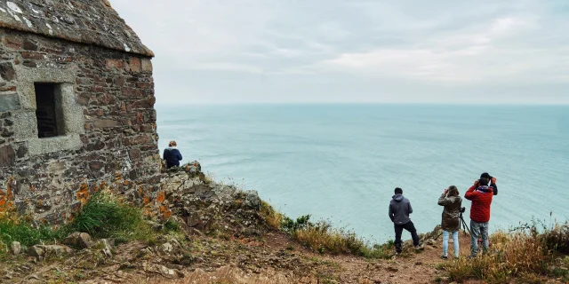 Je Me Ressource Grace Aux Oiseaux Expérience Birding Mont Saint Michel