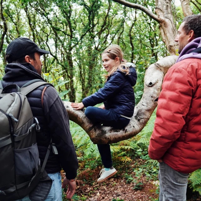 Je Me Ressource Grace Aux Oiseaux Expérience Birding Mont Saint Michel