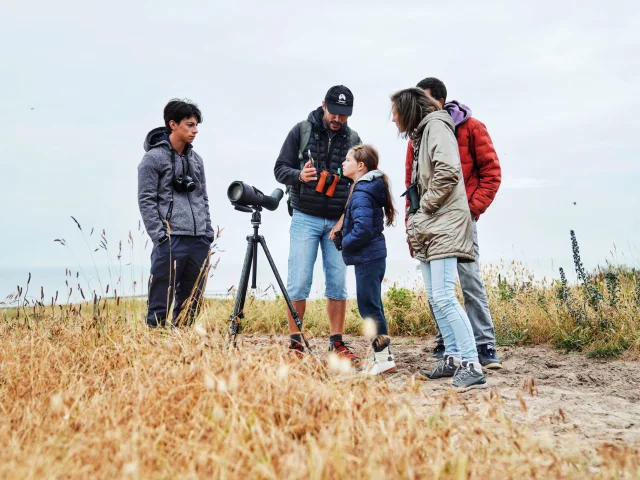 Je Me Ressource Grace Aux Oiseaux Expérience Birding Mont Saint Michel