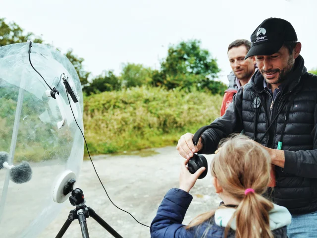 Je Me Ressource Grace Aux Oiseaux Expérience Birding Mont Saint Michel