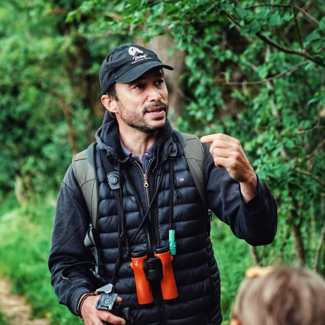 Je Me Ressource Grace Aux Oiseaux Expérience Birding Mont Saint Michel