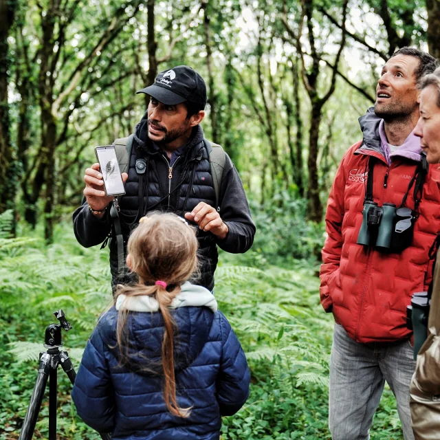 Je Me Ressource Grace Aux Oiseaux Expérience Birding Mont Saint Michel