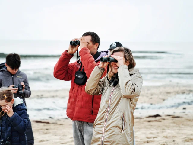 Je Me Ressource Grace Aux Oiseaux Expérience Birding Mont Saint Michel