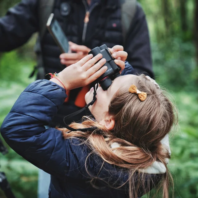 Je Me Ressource Grace Aux Oiseaux Expérience Birding Mont Saint Michel