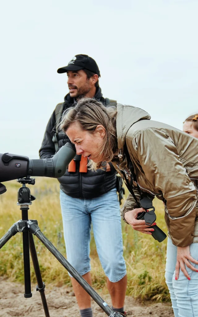 Je Me Ressource Grace Aux Oiseaux Expérience Birding Mont Saint Michel