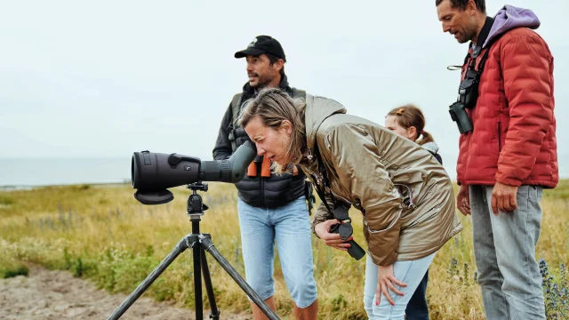 Je Me Ressource Grace Aux Oiseaux Expérience Birding Mont Saint Michel