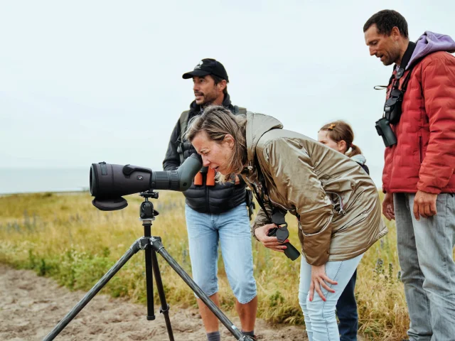 Je Me Ressource Grace Aux Oiseaux Expérience Birding Mont Saint Michel