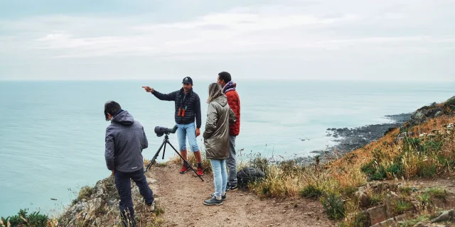 Je Me Ressource Grace Aux Oiseaux Expérience Birding Mont Saint Michel