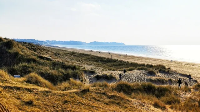 Les dunes de Bréville-sur-Mer