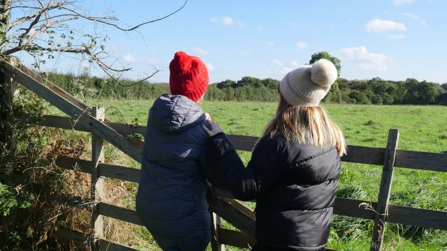 Le bocage en hiver