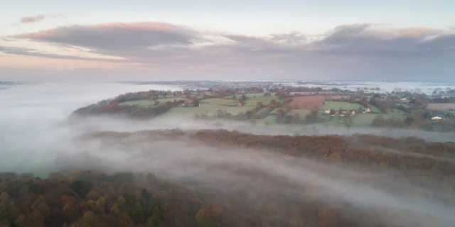 La forêt de La Lucerne sous la brume