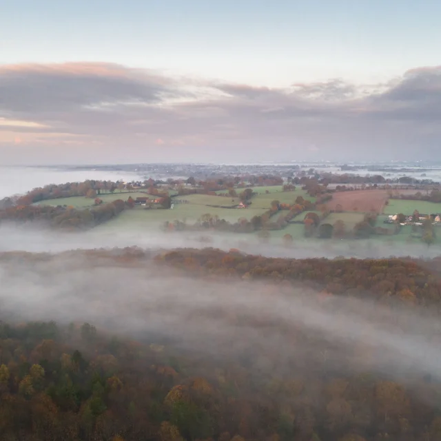 La forêt de La Lucerne sous la brume