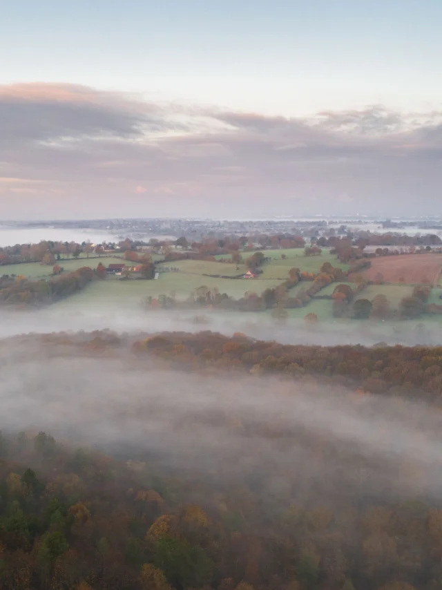 La forêt de La Lucerne sous la brume