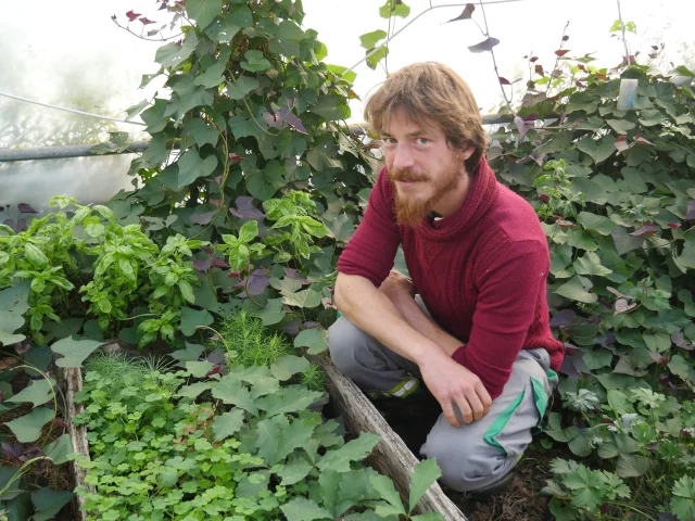 Gautier et ses aromates