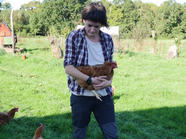 Mae et ses poules