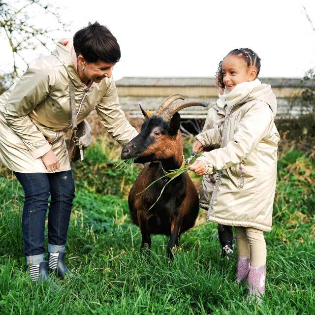 La Ferme De La Chevre Rit Credit Otgtm Lea Guillotte 37792 1920px