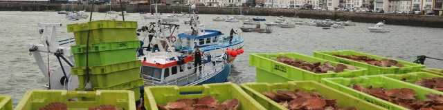 La Debarque Dans L Avant Port De Peche Credit Otgtm Marie Claude Vergne 34910 1920px 2