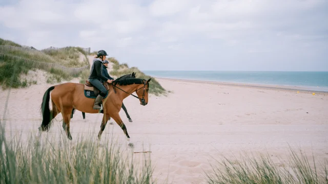 Chevaux Sur La Plage Et Dans Les Dunes Credit Otgtm Cecile Ballon 37348 2